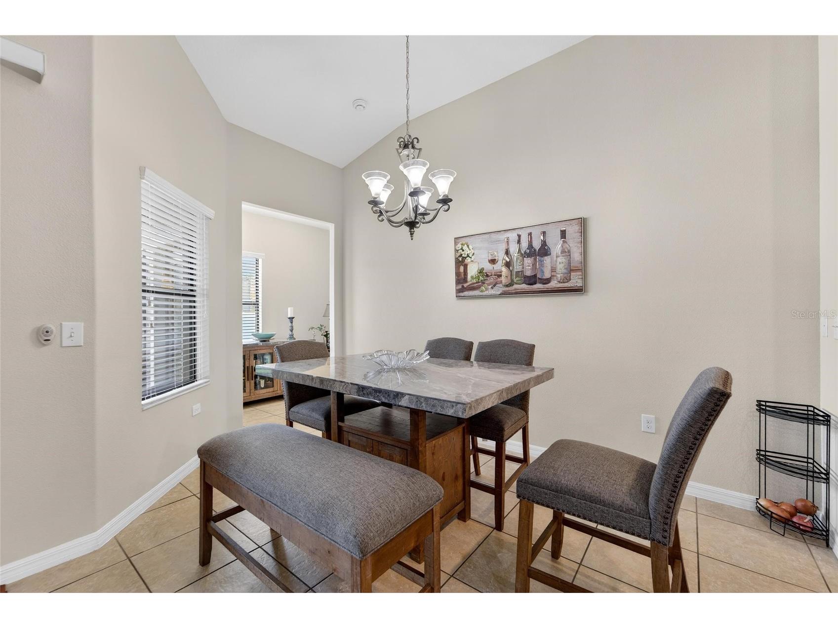 11628 Brighton Knoll Loop Riverview FL 33579 TB8483669 image31