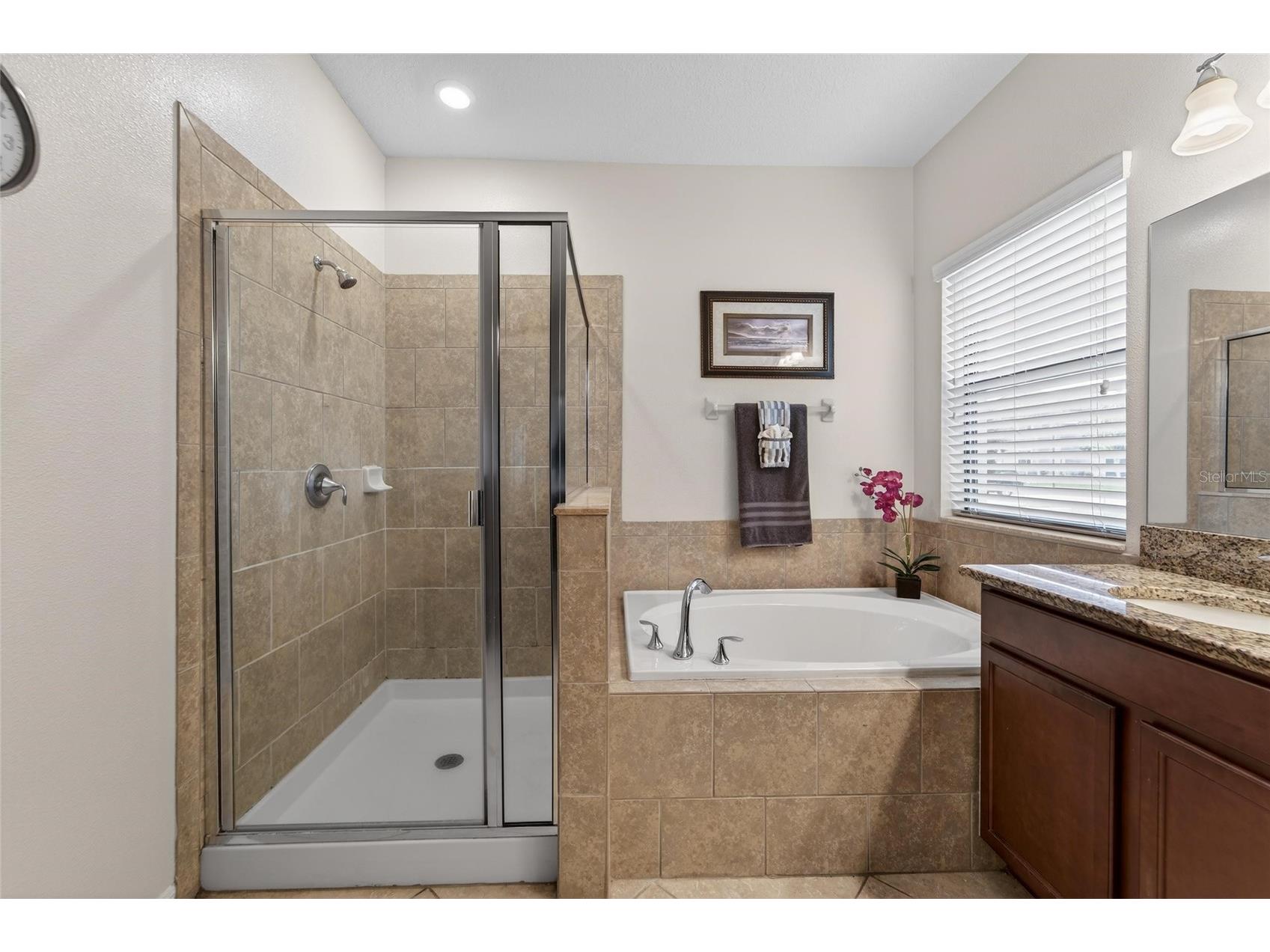 11628 Brighton Knoll Loop Riverview FL 33579 TB8483669 image42