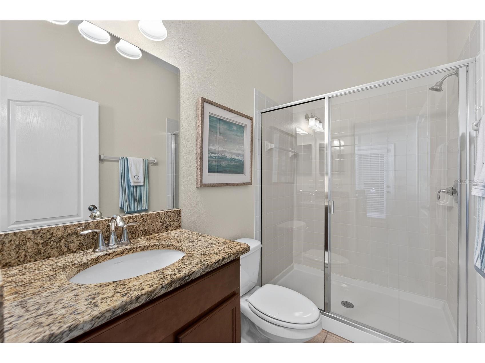 11628 Brighton Knoll Loop Riverview FL 33579 TB8483669 image56