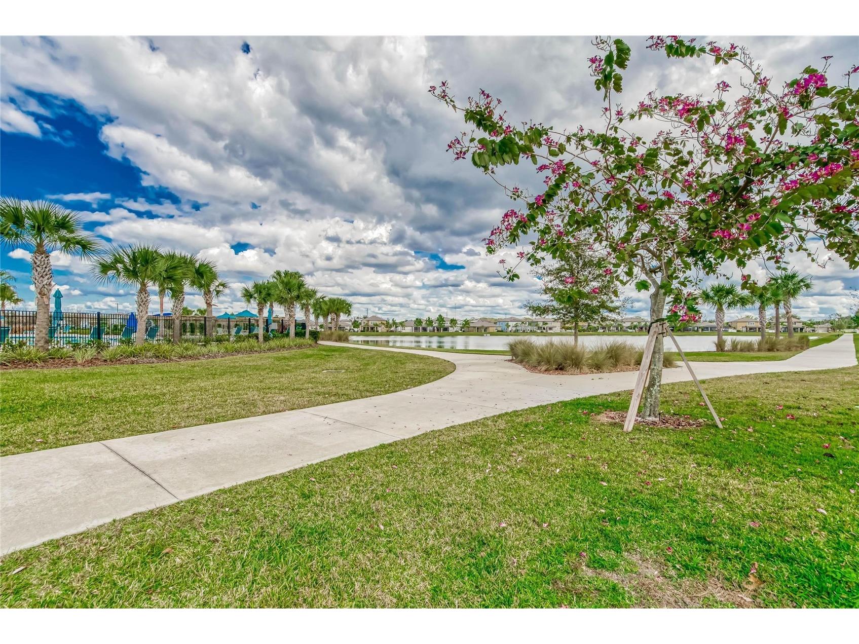 11628 Brighton Knoll Loop Riverview FL 33579 TB8483669 image82