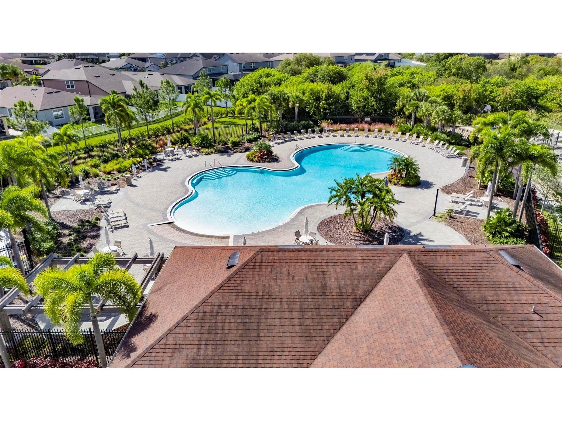 11628 Brighton Knoll Loop Riverview FL 33579 TB8483669 image87