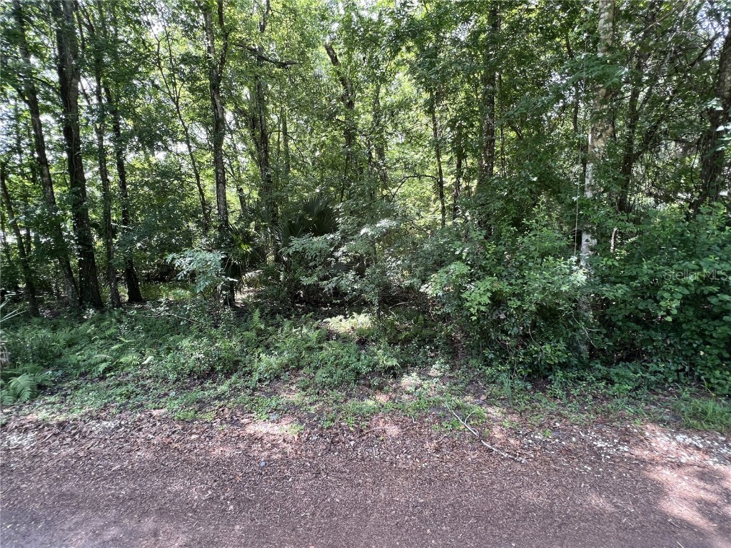 11628 E Head Court Floral City FL 34436 OM639935 image1