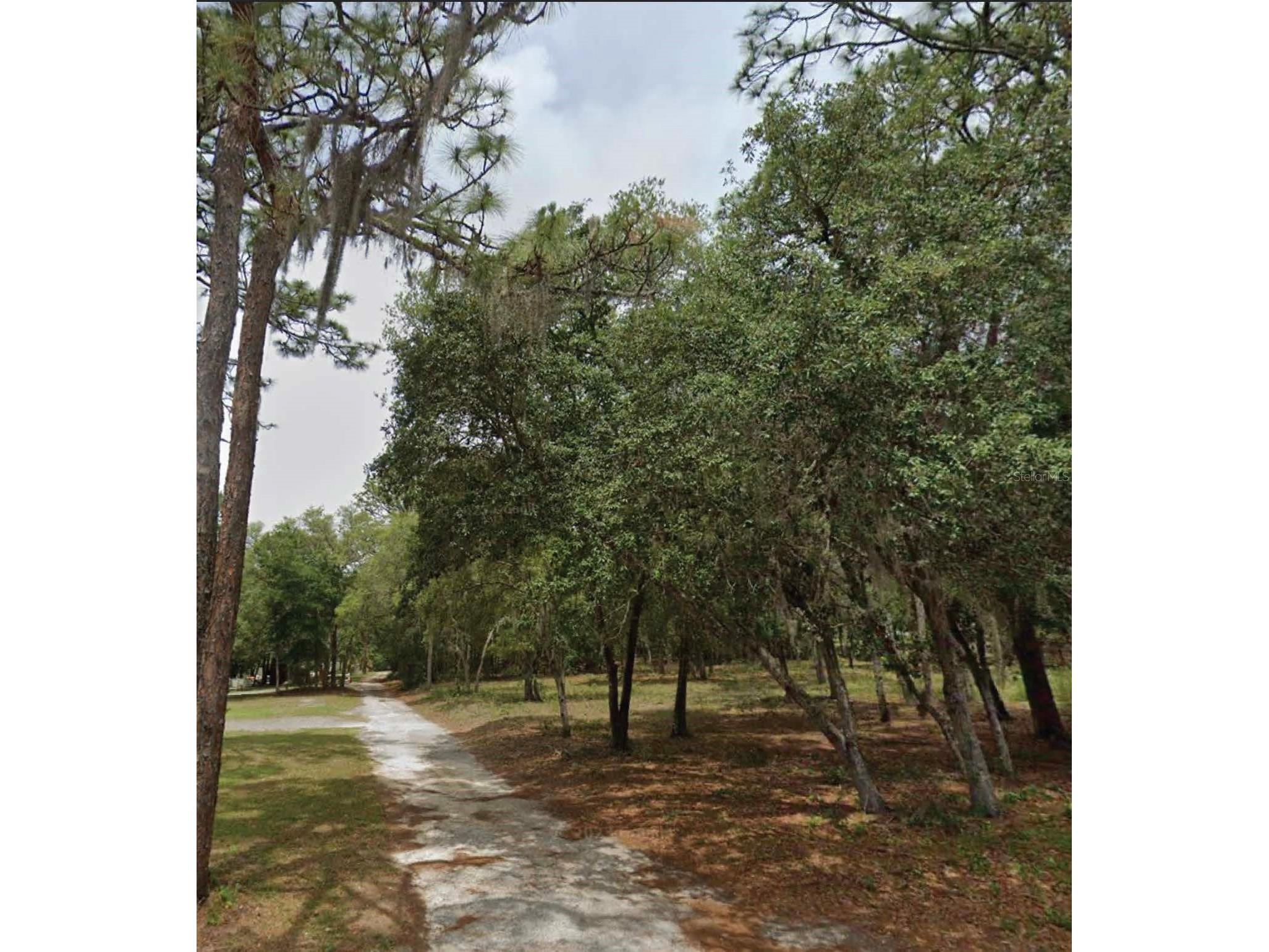 1163 E Canvas Lane Hernando FL 34442 O6375675 image1