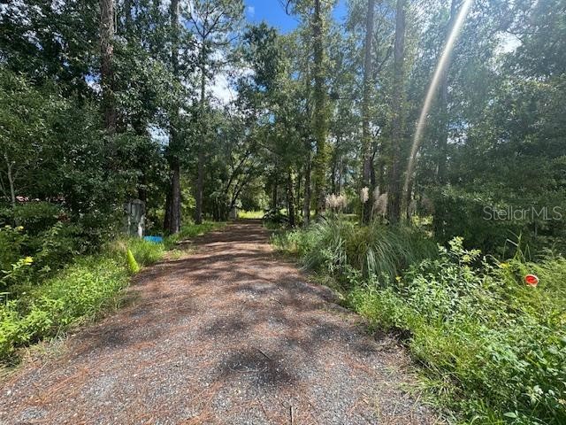 1163 Hazelnut Street Bunnell FL 32110 O6237397 image1