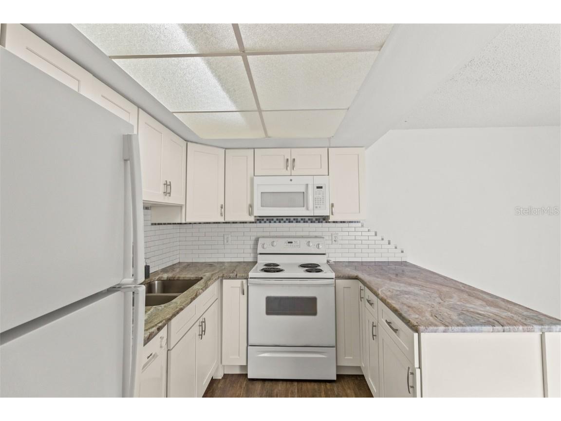 1163 Orange Tree Circle W #D Palm Harbor FL 34684 TB8410004 image25