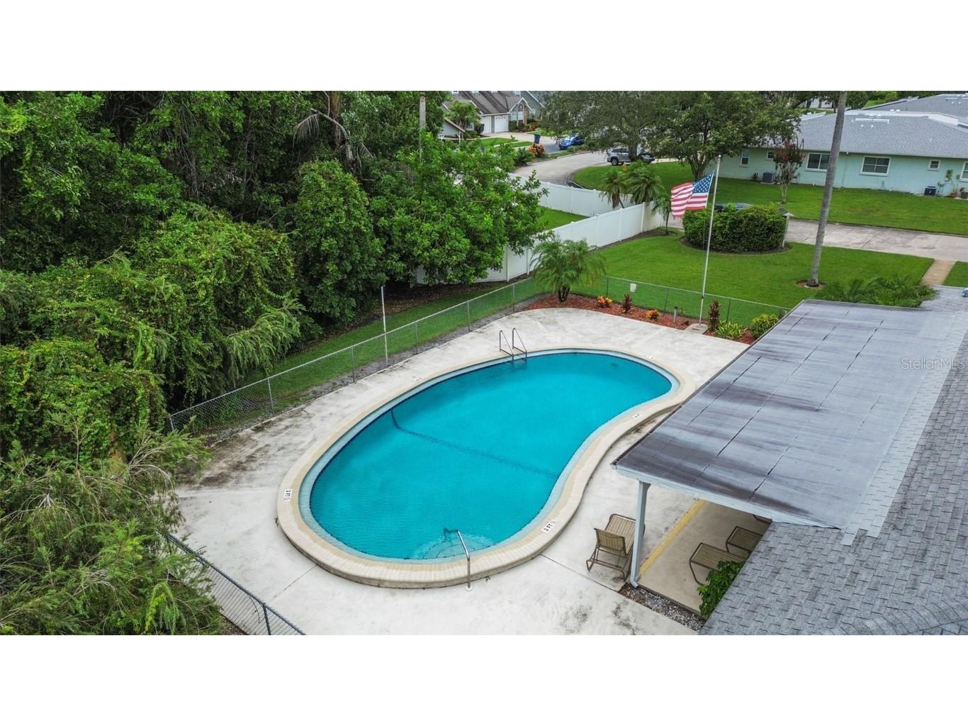 1163 Orange Tree Circle W #D Palm Harbor FL 34684 TB8410004 image29