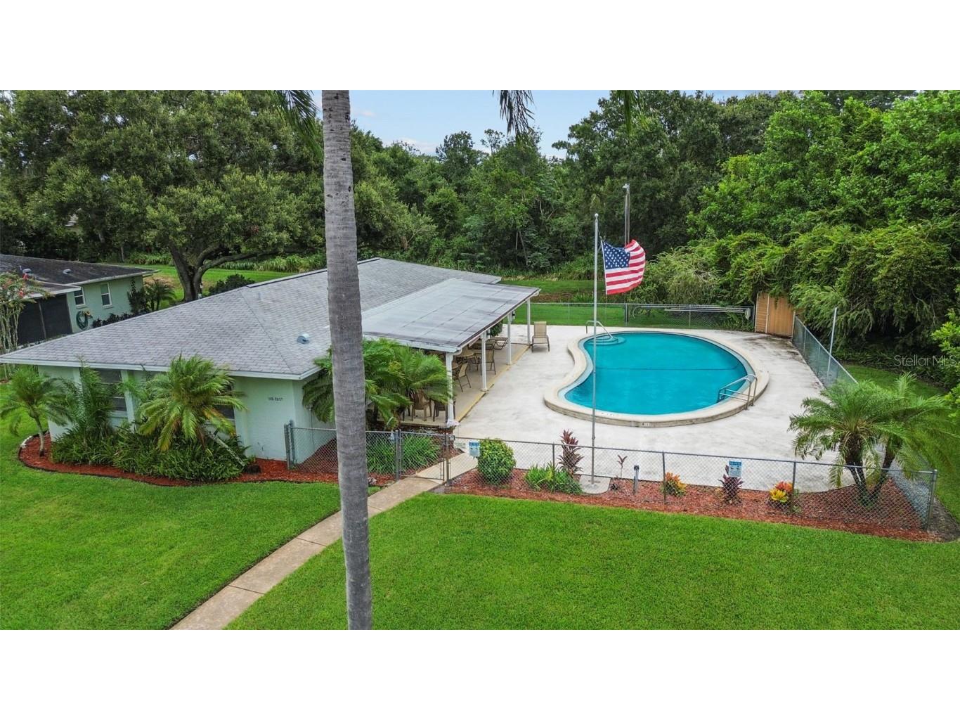 1163 Orange Tree Circle W #D Palm Harbor FL 34684 TB8410004 image31