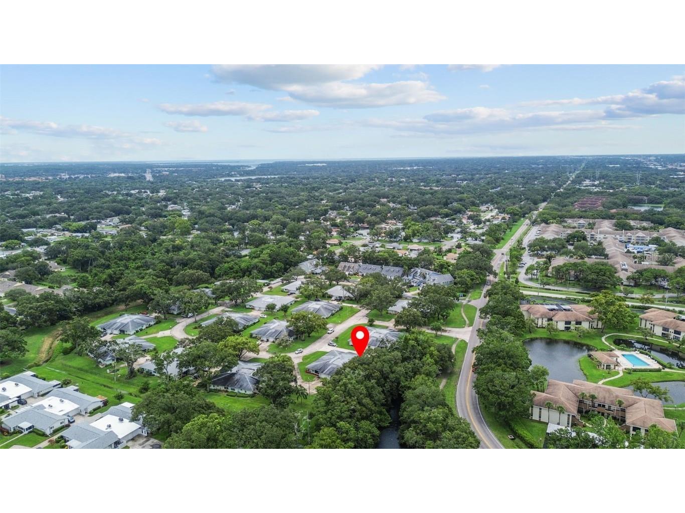 1163 Orange Tree Circle W #D Palm Harbor FL 34684 TB8410004 image35