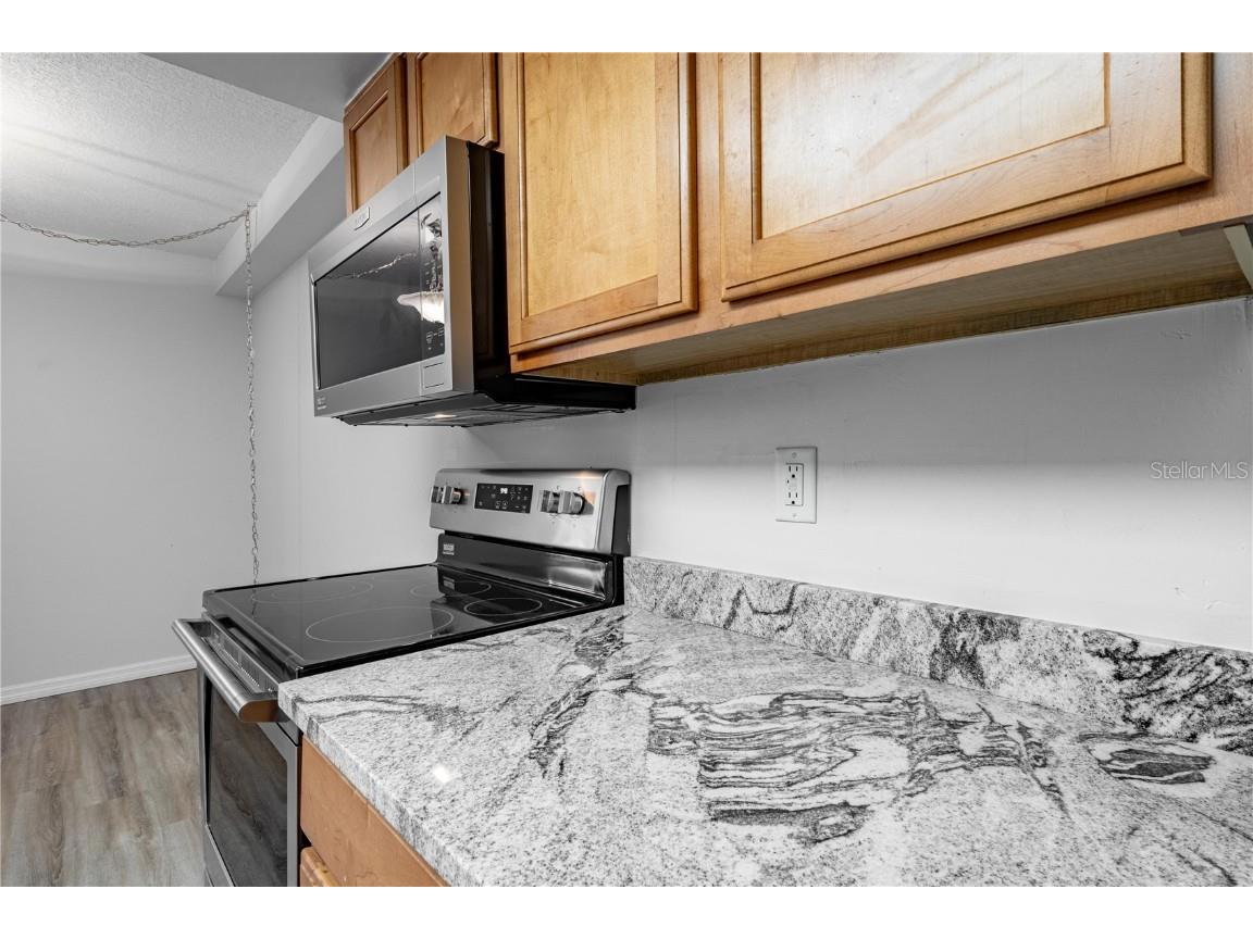 1163 Paseo Del Mar #B Casselberry FL 32707 - LAKE HOWEL O6306794 image3