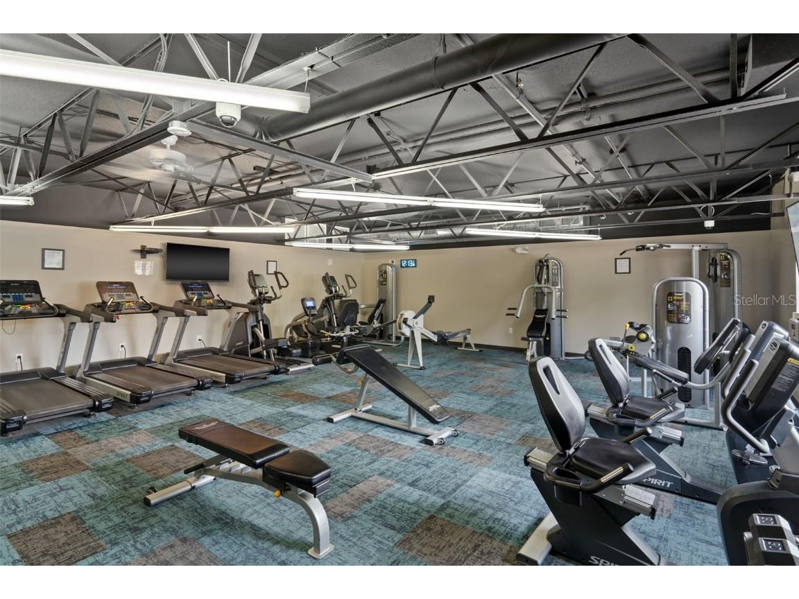 11630 Bayonet Lane New Port Richey FL 34654 W7878990 image49