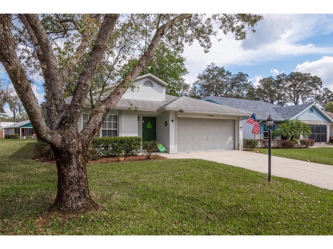 11630 Cocowood Drive New Port Richey FL 34654 U8154238 image1