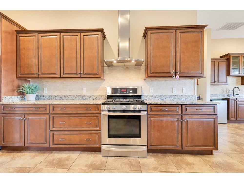 11630 Flynn Court Winter Garden FL 34787 O6301535 image21