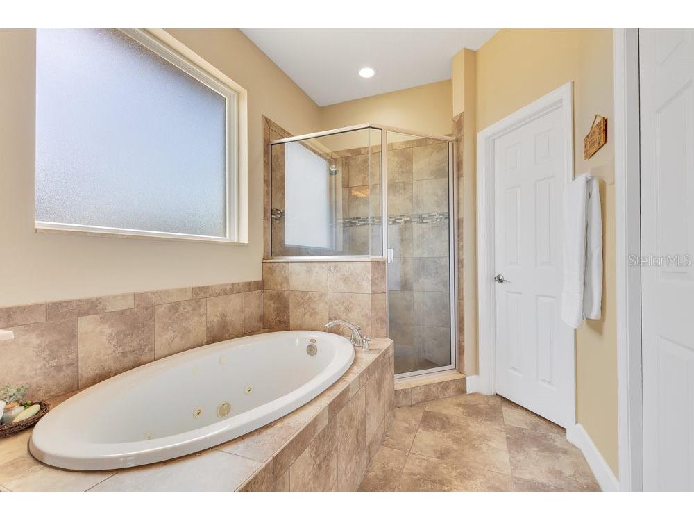 11630 Flynn Court Winter Garden FL 34787 O6301535 image34