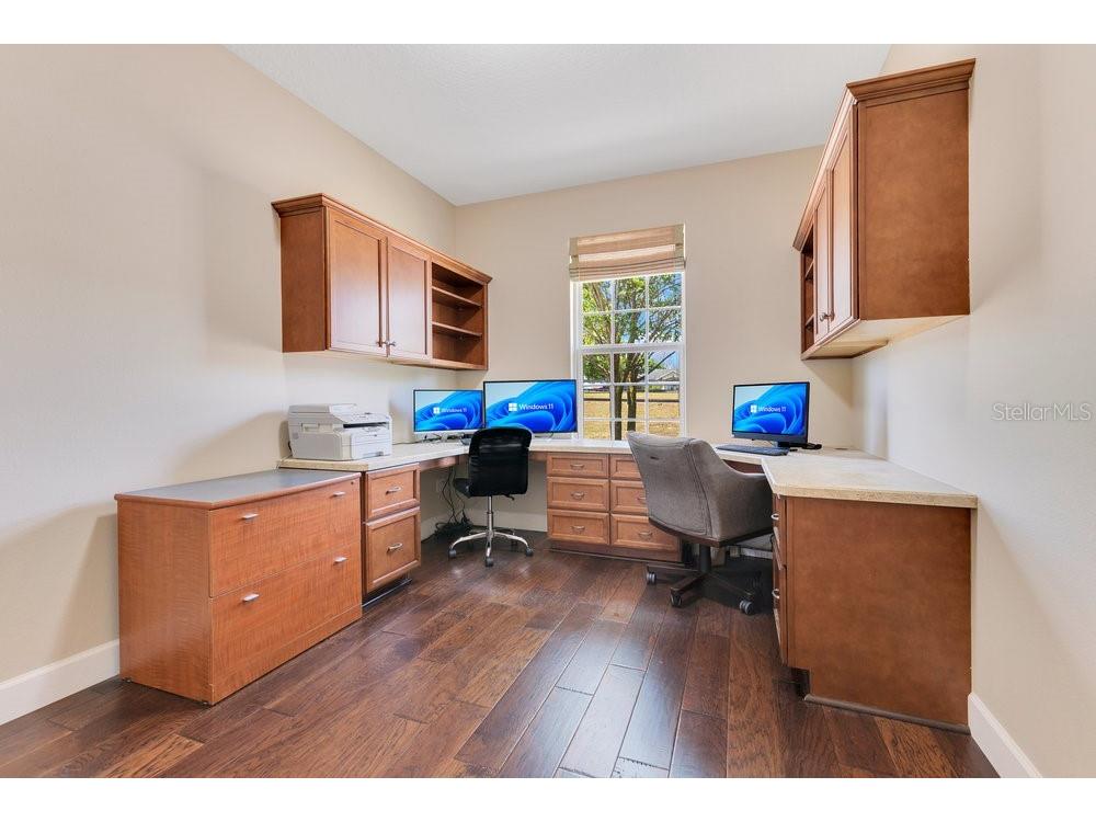 11630 Flynn Court Winter Garden FL 34787 O6301535 image38