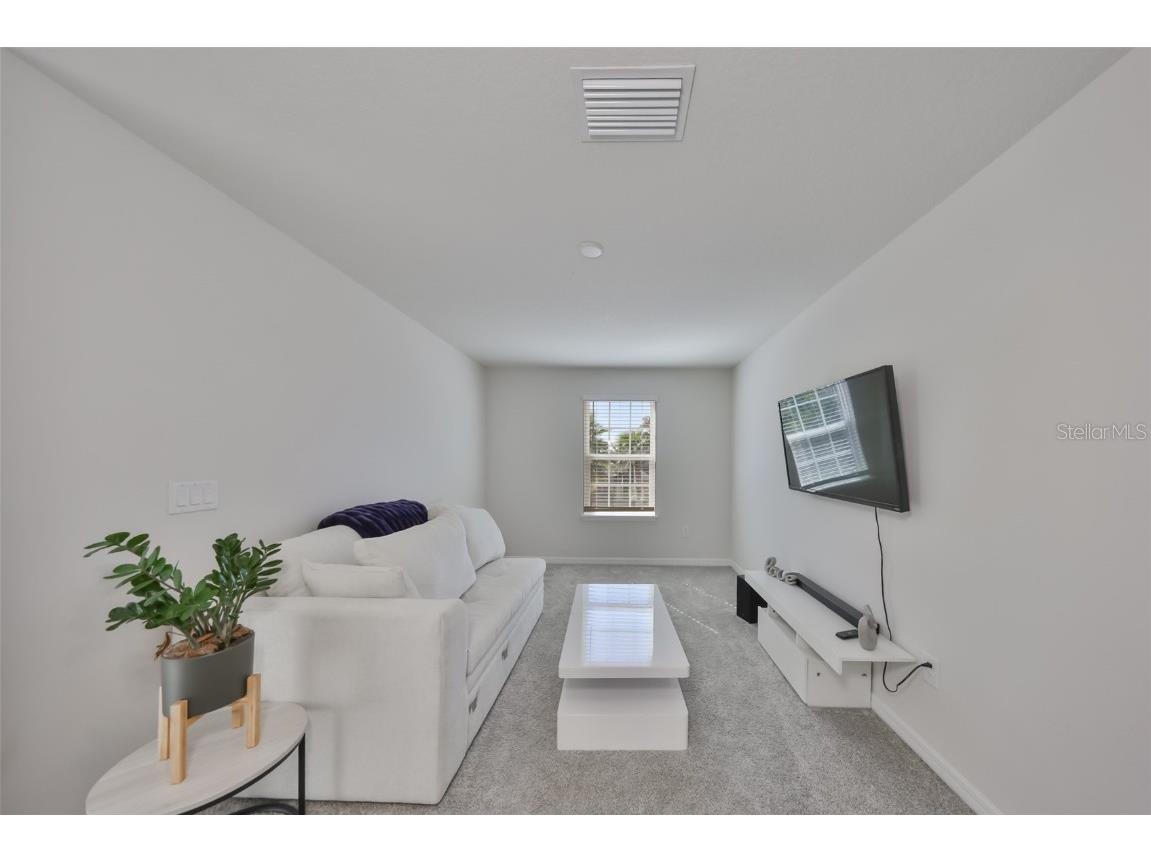 11630 Mandevilla View Way Riverview FL 33579 TB8444960 image10