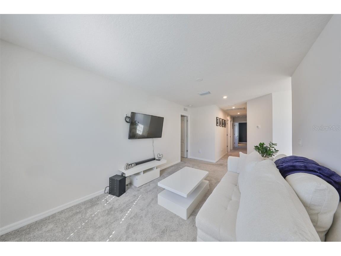 11630 Mandevilla View Way Riverview FL 33579 TB8444960 image11