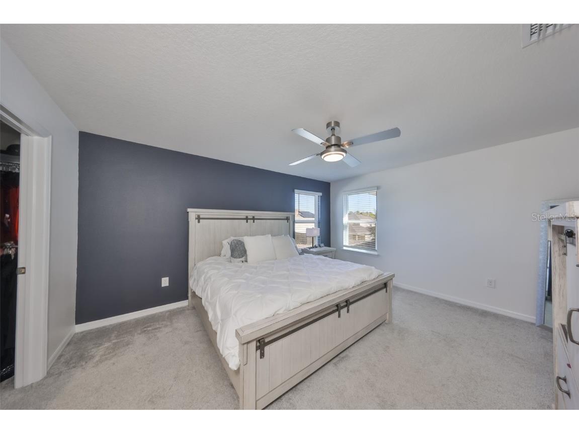 11630 Mandevilla View Way Riverview FL 33579 TB8444960 image12