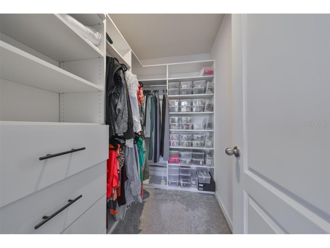 11630 Mandevilla View Way Riverview FL 33579 TB8444960 image15