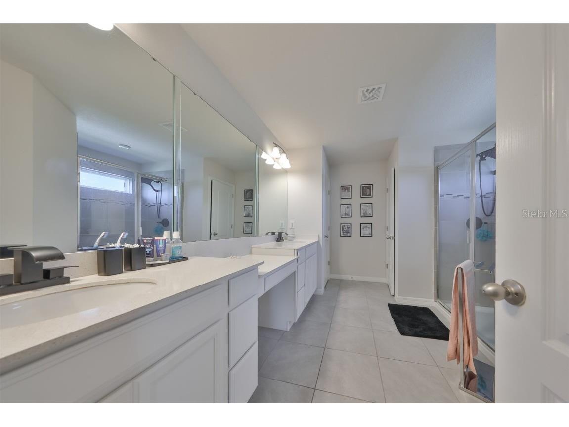 11630 Mandevilla View Way Riverview FL 33579 TB8444960 image16