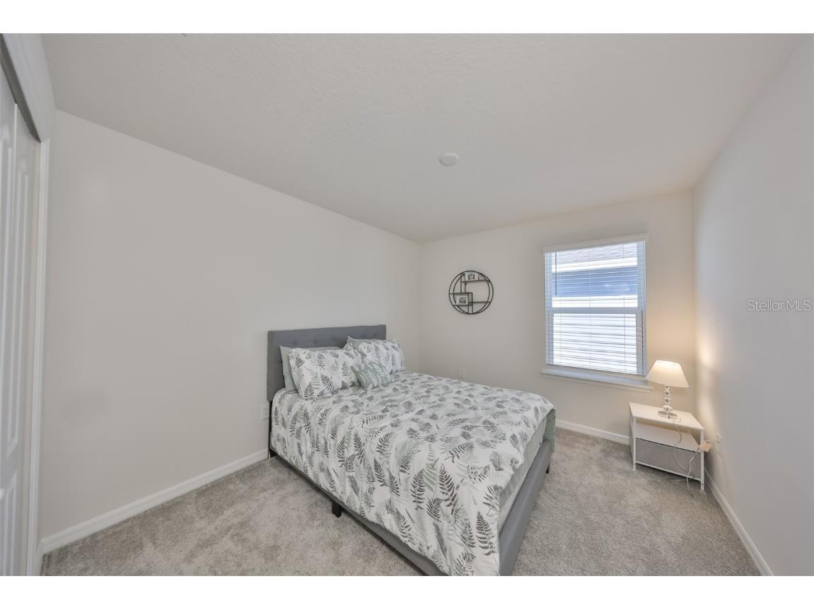 11630 Mandevilla View Way Riverview FL 33579 TB8444960 image19