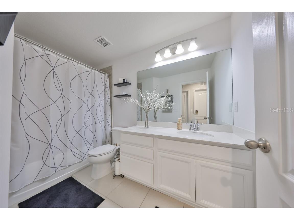 11630 Mandevilla View Way Riverview FL 33579 TB8444960 image20