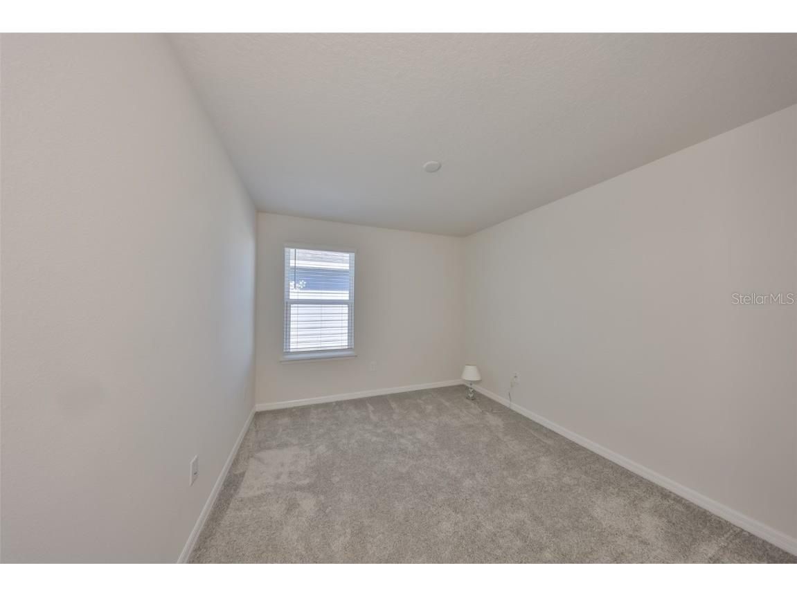 11630 Mandevilla View Way Riverview FL 33579 TB8444960 image21