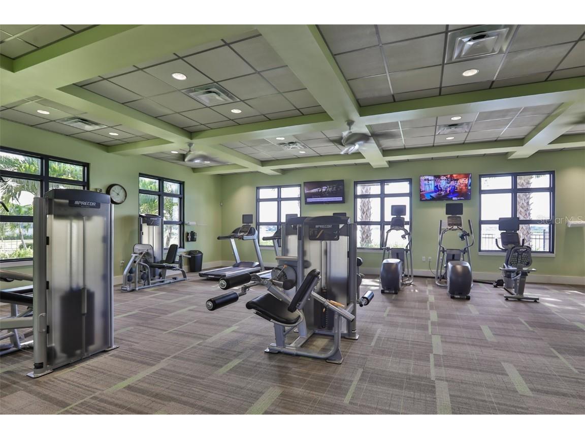 11630 Mandevilla View Way Riverview FL 33579 TB8444960 image37