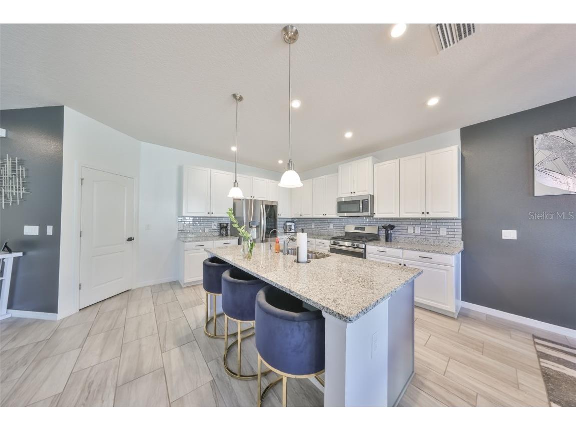 11630 Mandevilla View Way Riverview FL 33579 TB8444960 image8