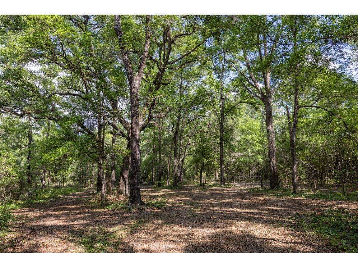 11630 NW 161st Street Alachua FL 32615 GC528819 image1