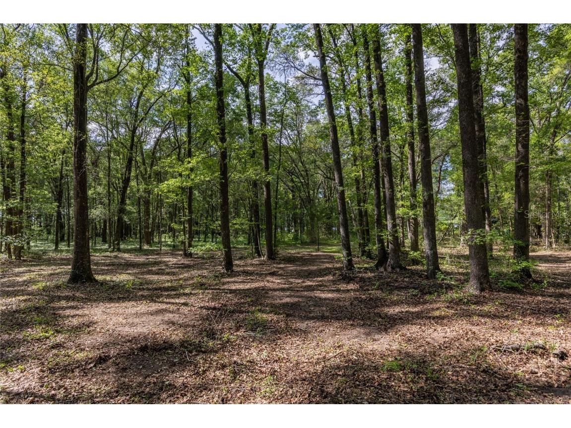 11630 NW 161st Street Alachua FL 32615 GC528819 image10