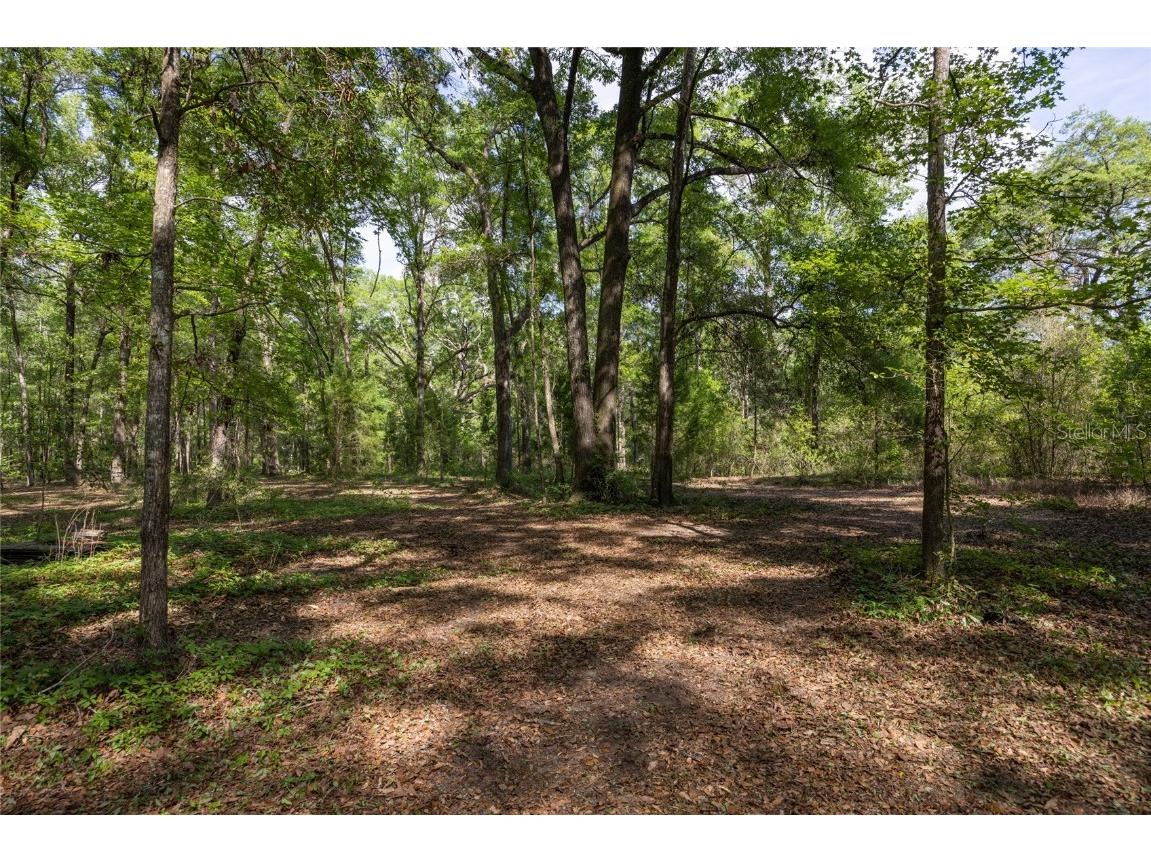 11630 NW 161st Street Alachua FL 32615 GC528819 image11