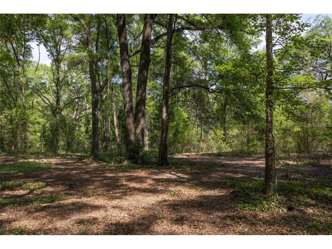 11630 NW 161st Street Alachua FL 32615 GC528819 image12