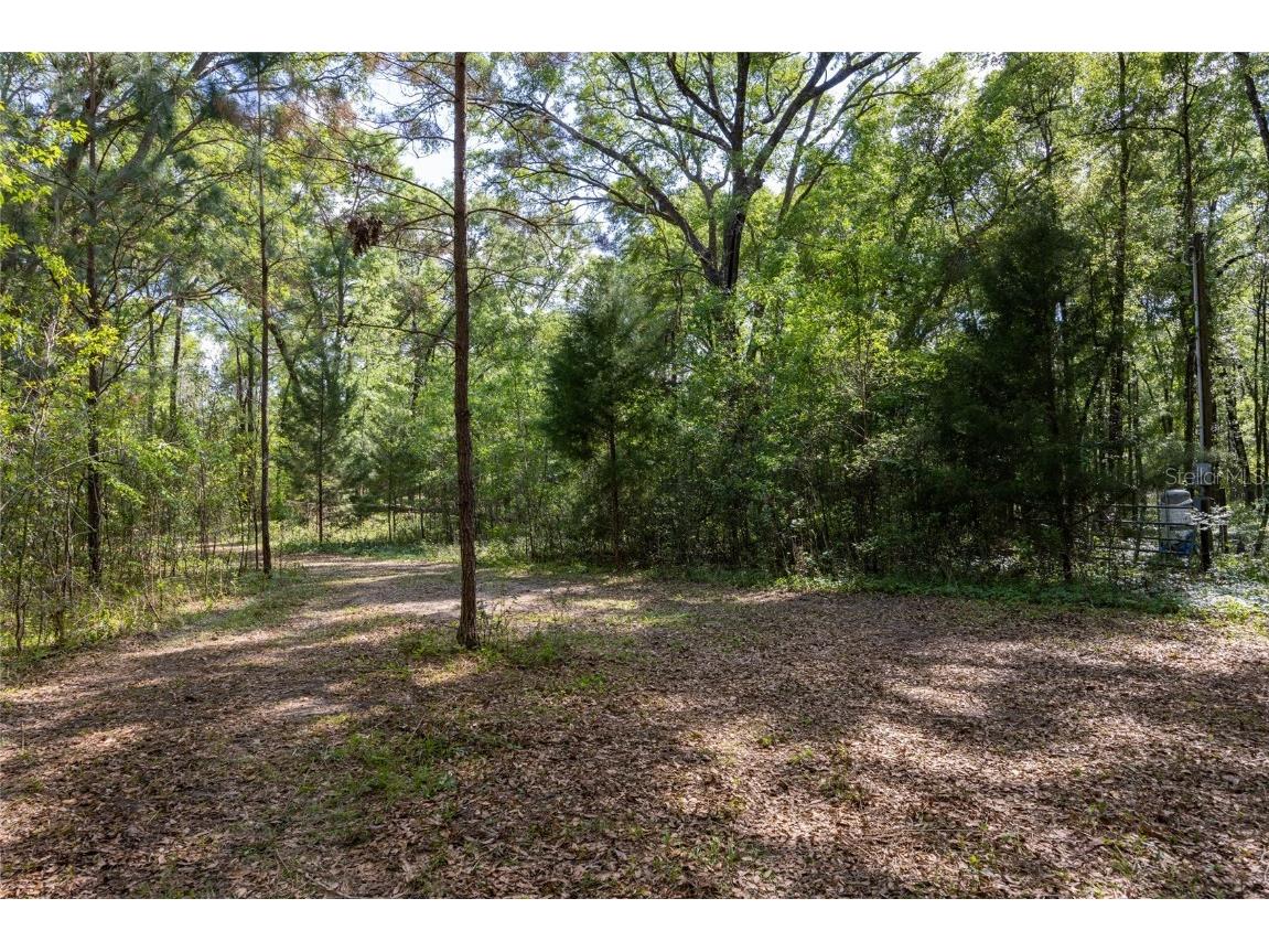 11630 NW 161st Street Alachua FL 32615 GC528819 image13