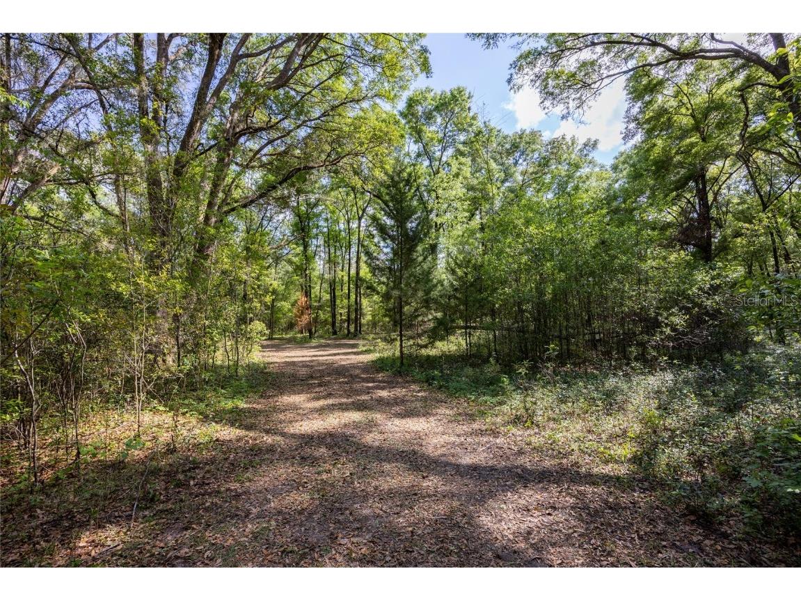 11630 NW 161st Street Alachua FL 32615 GC528819 image17