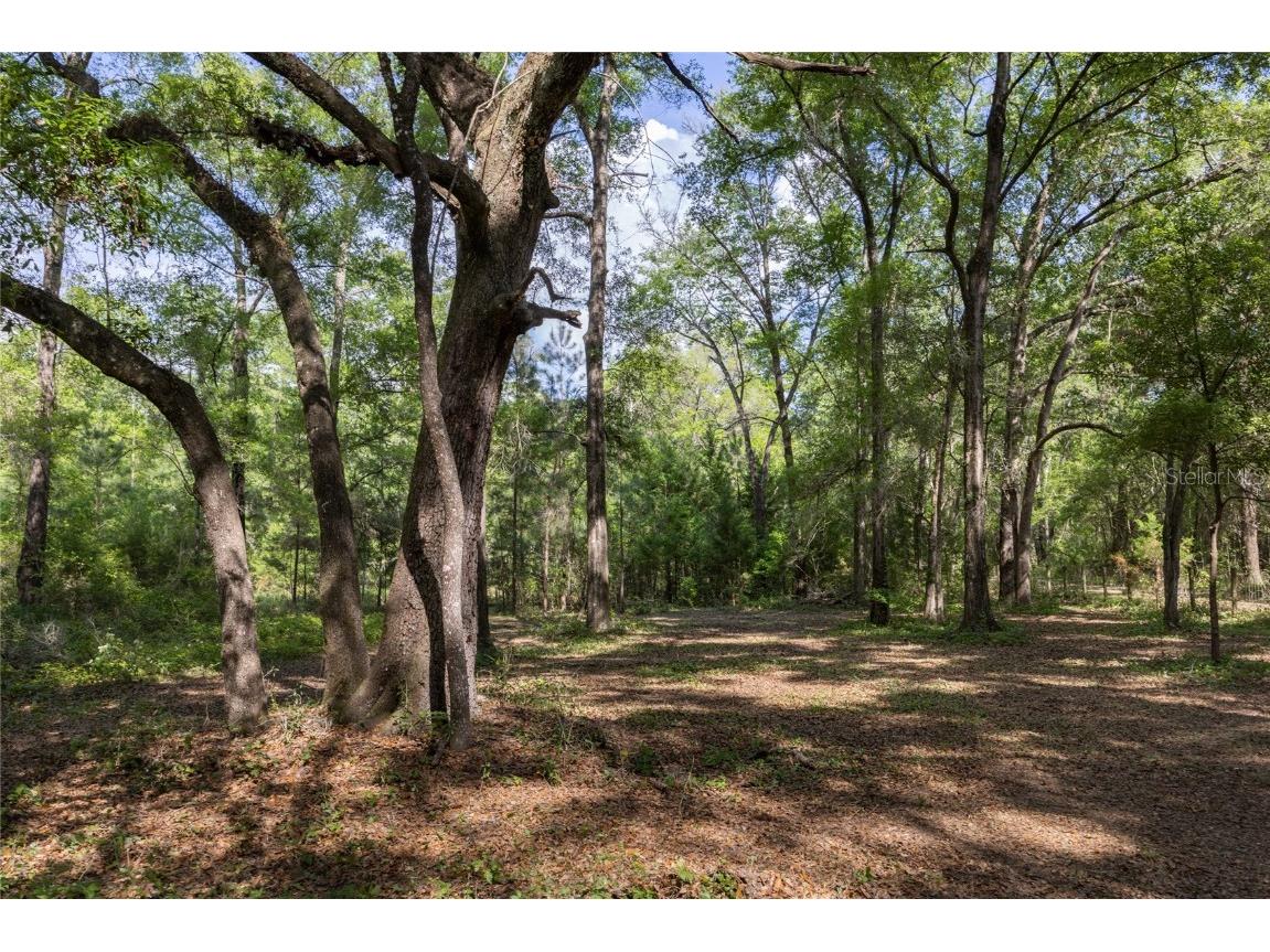 11630 NW 161st Street Alachua FL 32615 GC528819 image18