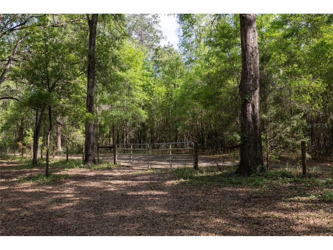 11630 NW 161st Street Alachua FL 32615 GC528819 image19