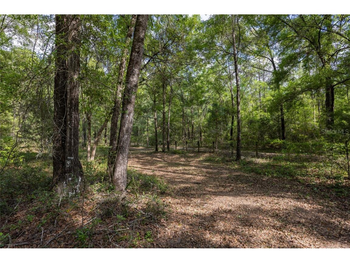 11630 NW 161st Street Alachua FL 32615 GC528819 image22