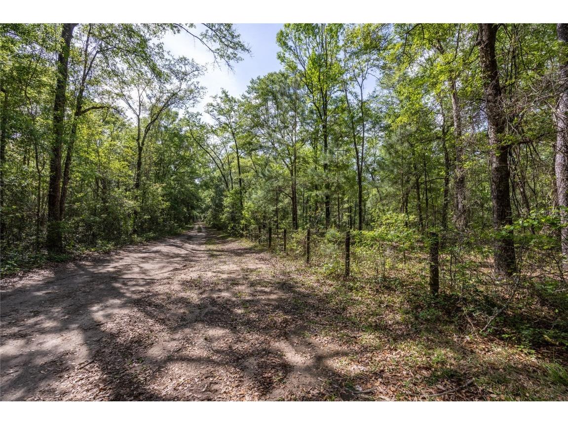 11630 NW 161st Street Alachua FL 32615 GC528819 image24