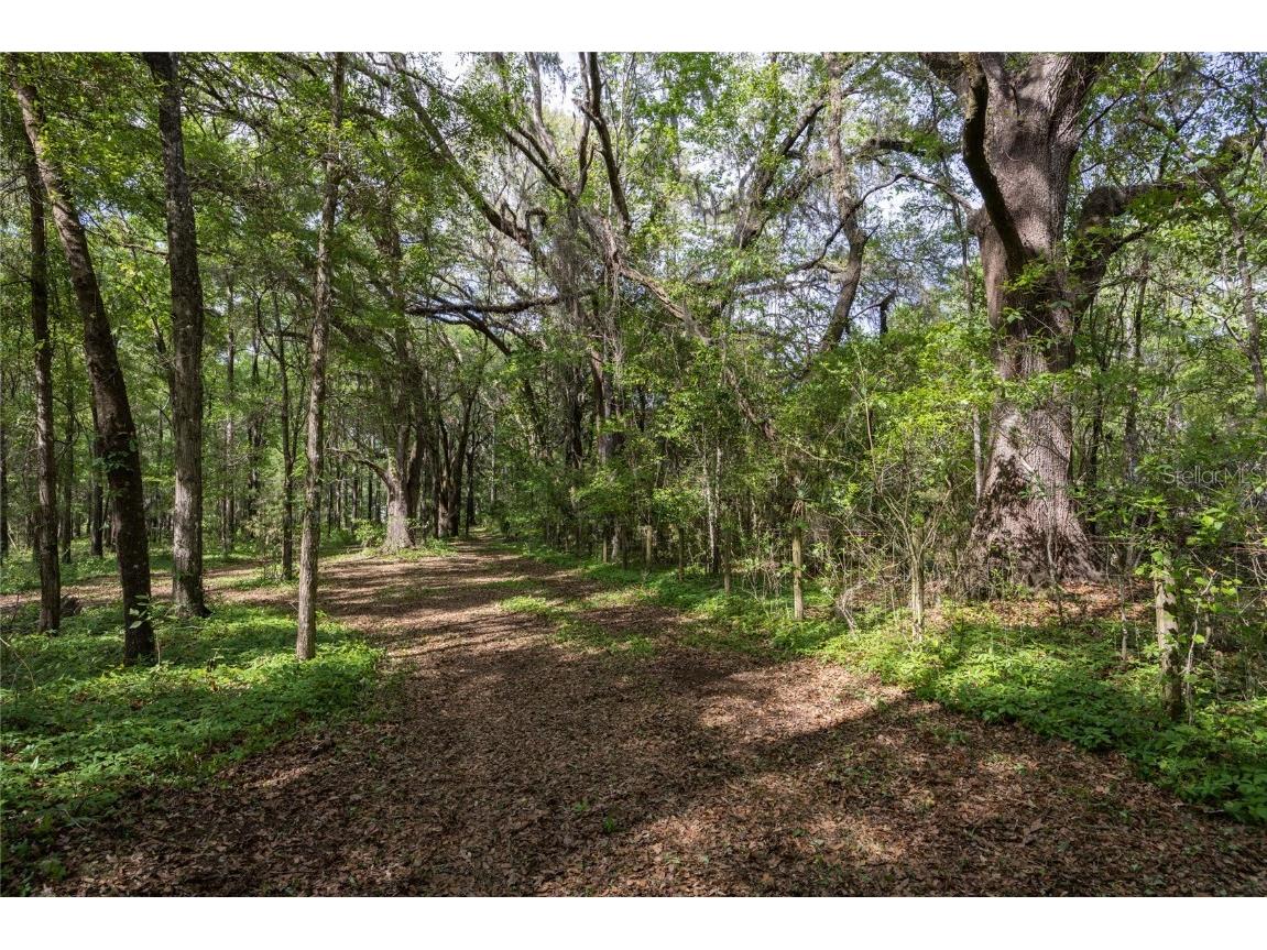 11630 NW 161st Street Alachua FL 32615 GC528819 image25