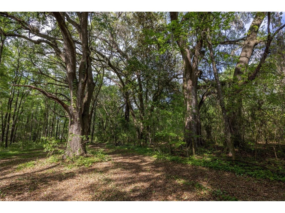 11630 NW 161st Street Alachua FL 32615 GC528819 image26
