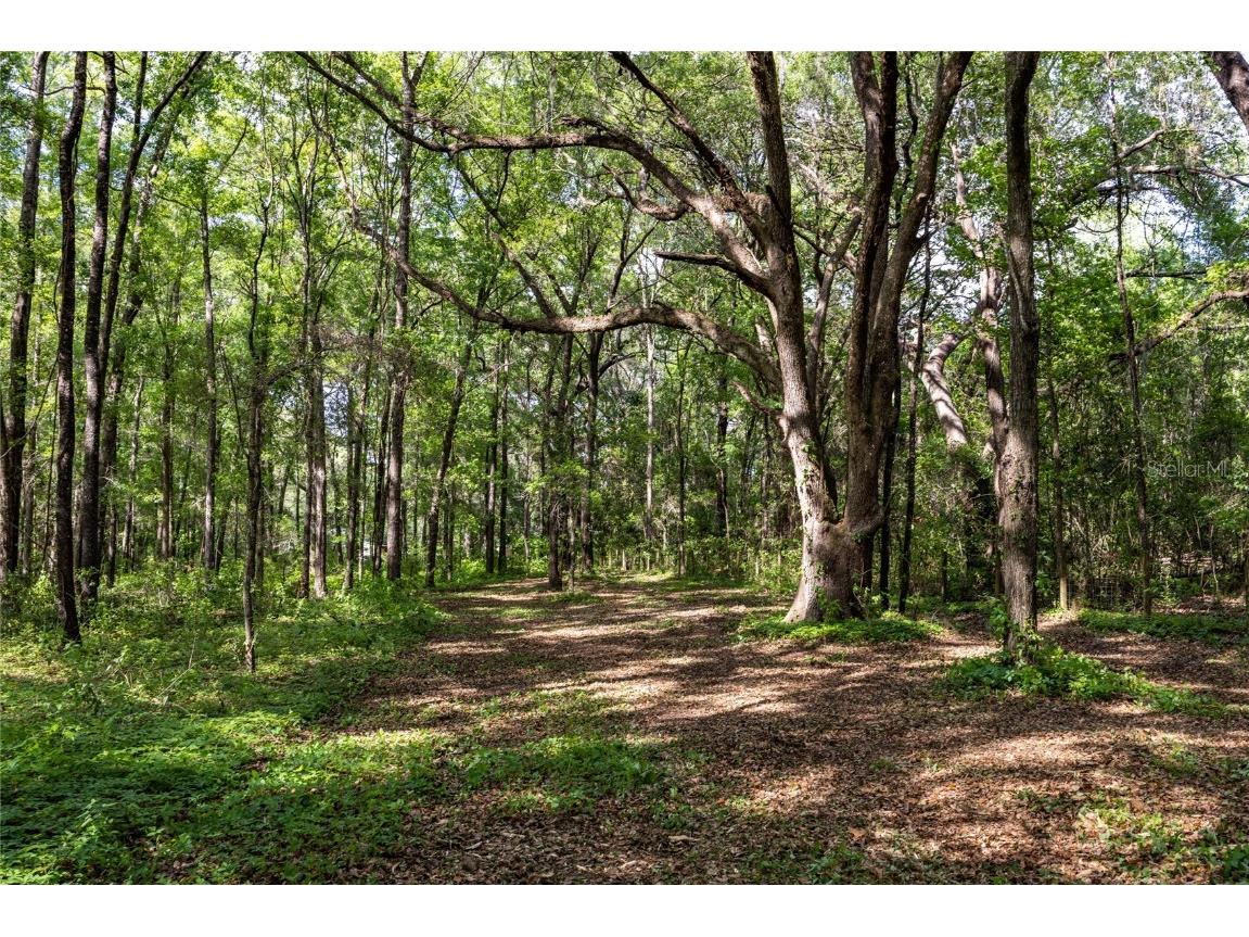 11630 NW 161st Street Alachua FL 32615 GC528819 image27