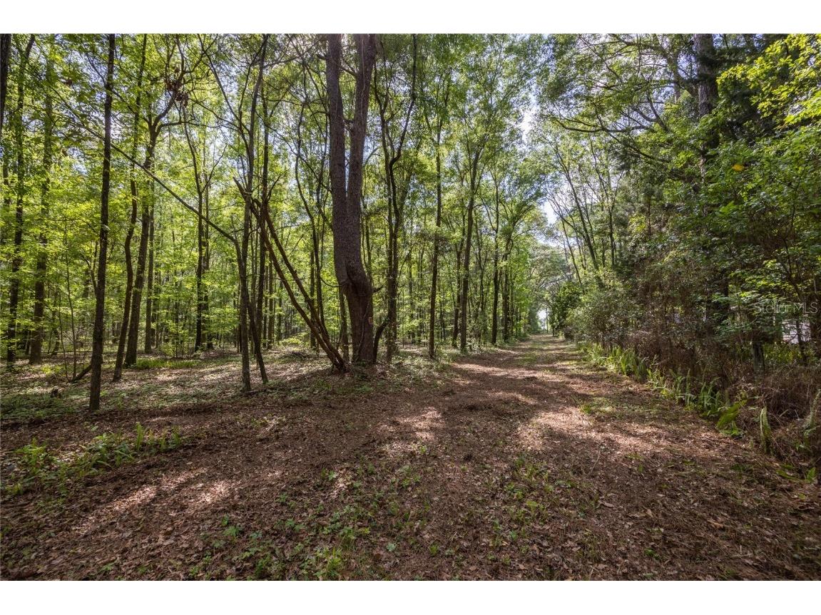 11630 NW 161st Street Alachua FL 32615 GC528819 image3