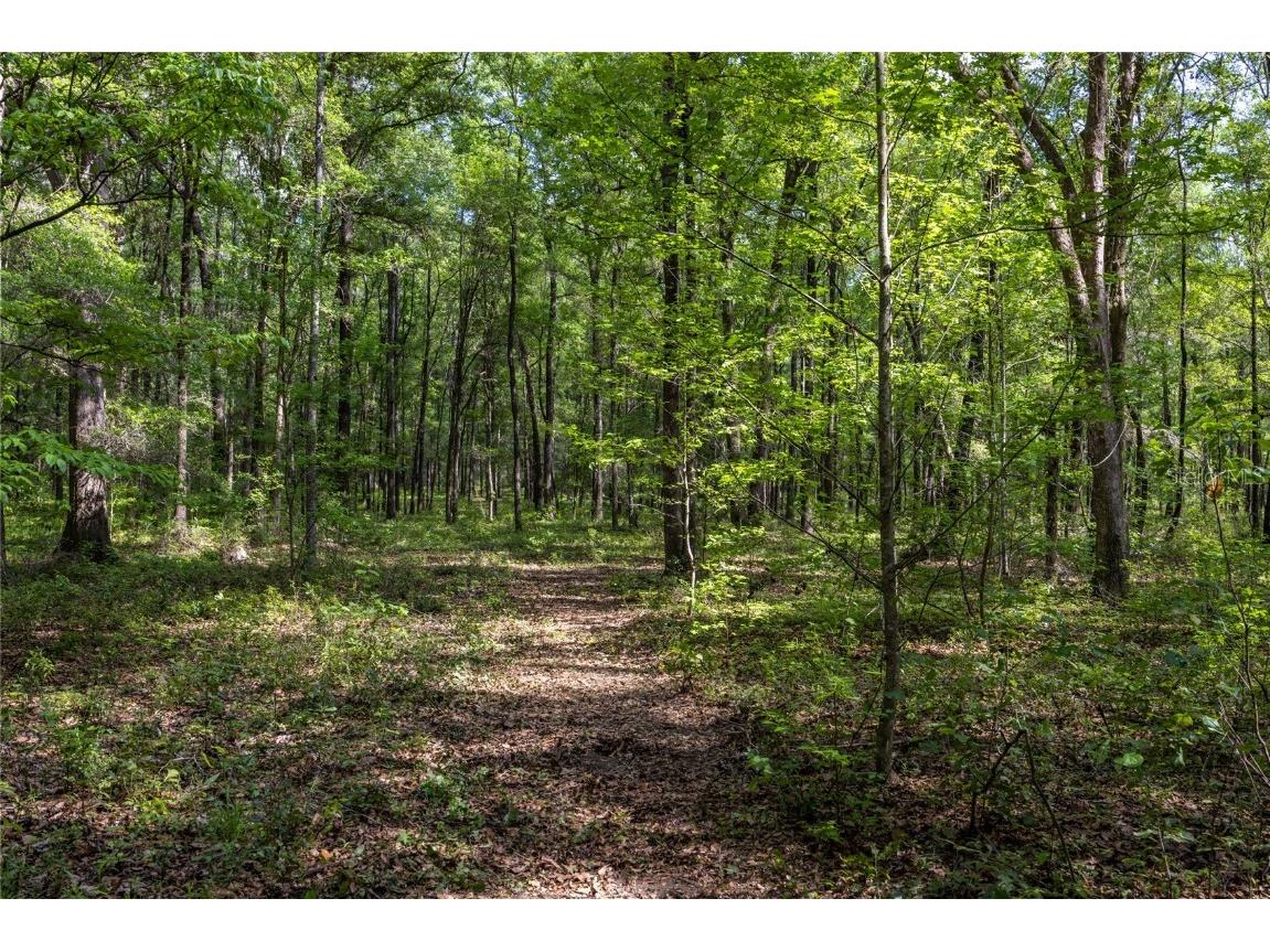 11630 NW 161st Street Alachua FL 32615 GC528819 image4