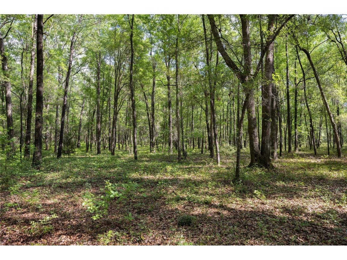 11630 NW 161st Street Alachua FL 32615 GC528819 image5