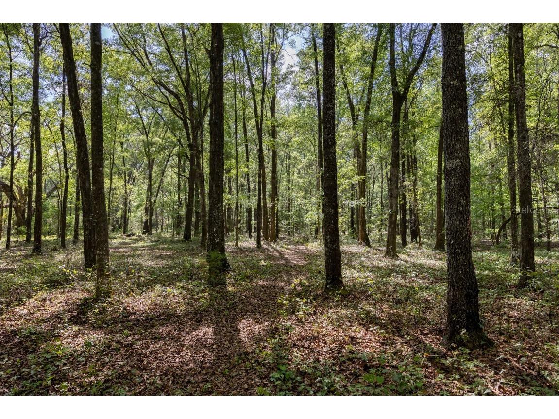 11630 NW 161st Street Alachua FL 32615 GC528819 image6