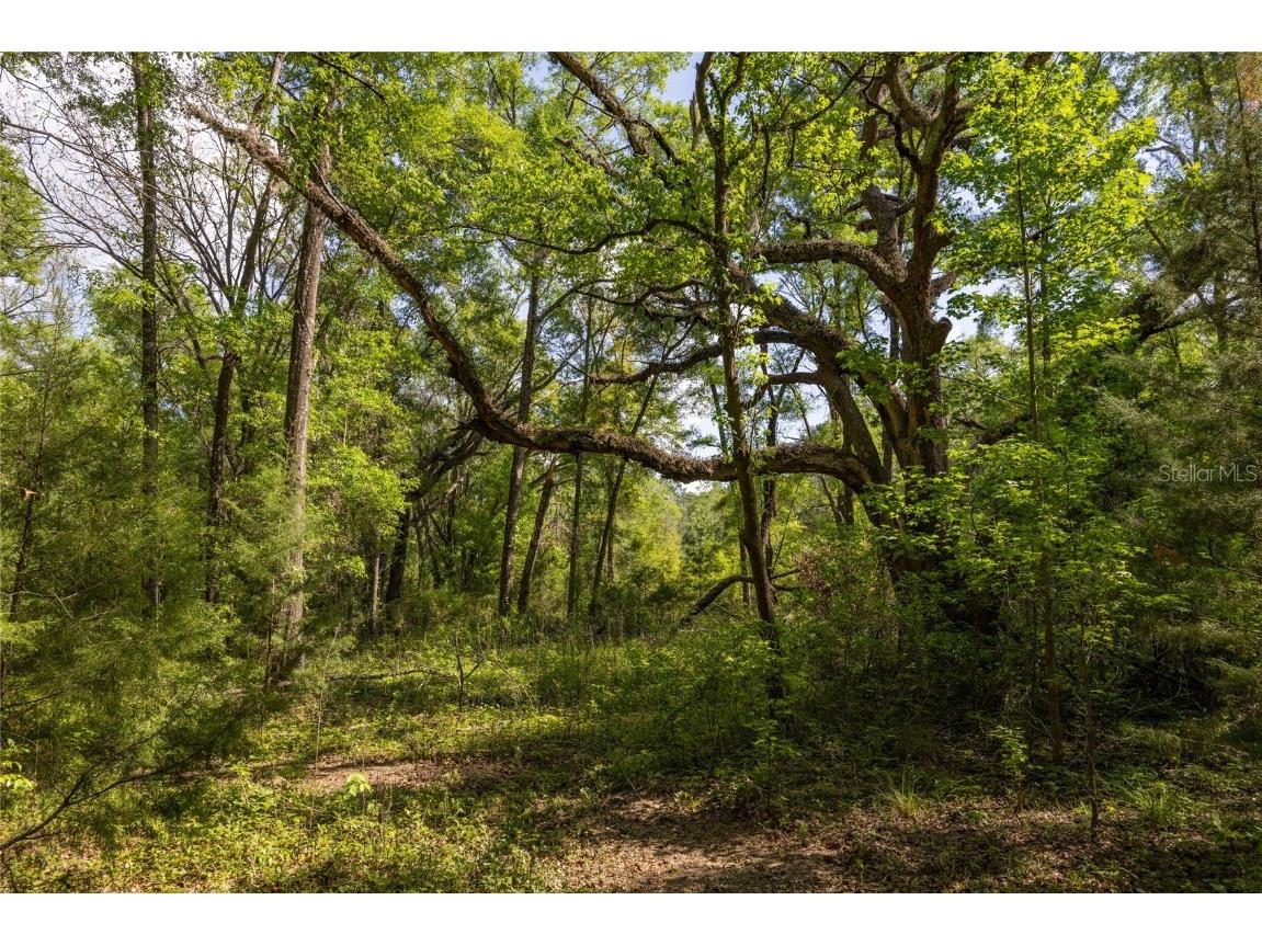 11630 NW 161st Street Alachua FL 32615 GC528819 image7