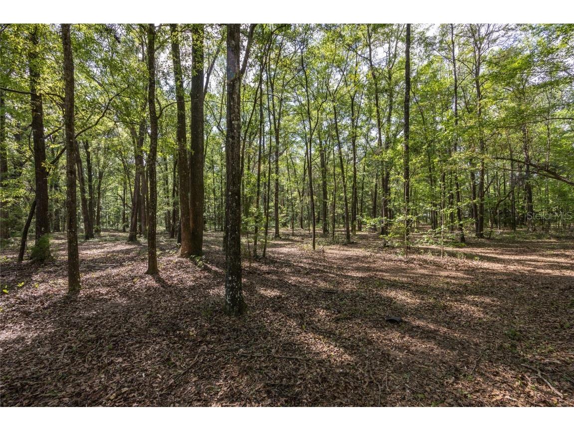 11630 NW 161st Street Alachua FL 32615 GC528819 image8