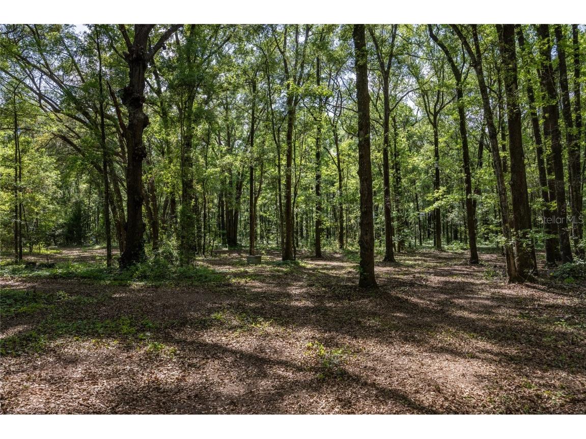 11630 NW 161st Street Alachua FL 32615 GC528819 image9