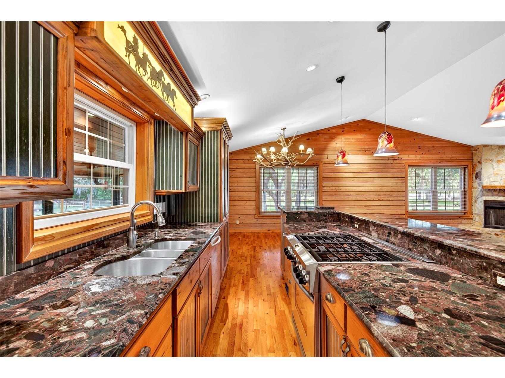 11630 SE 78th Street Morriston FL 32668 O6409029 image19