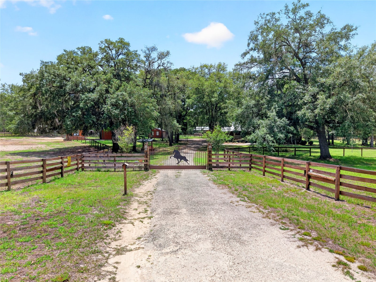 11630 SE 78th Street Morriston FL 32668 O6409029 image4